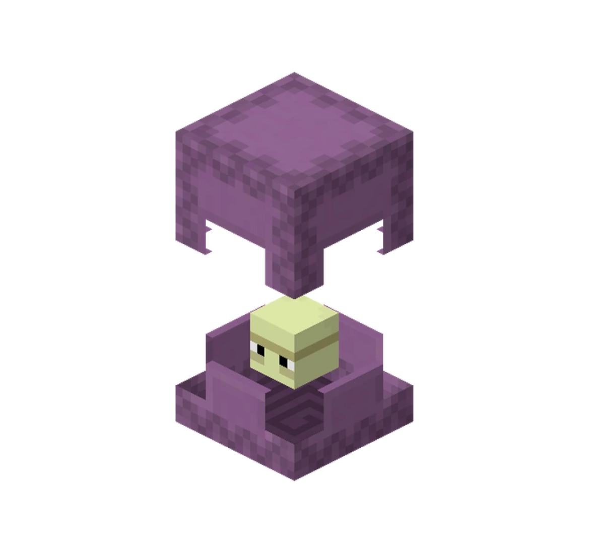 Shulker Kutusu